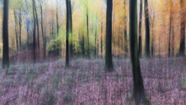 Autumn Art