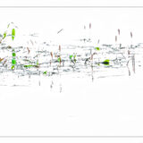 P8100131 flipped cropped