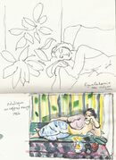 At the Musee Matisse