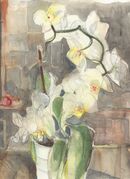 White Orchid