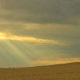 Oxfordshire and Wiltshire Landscape