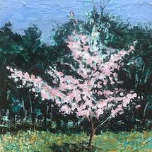 Blossom tree