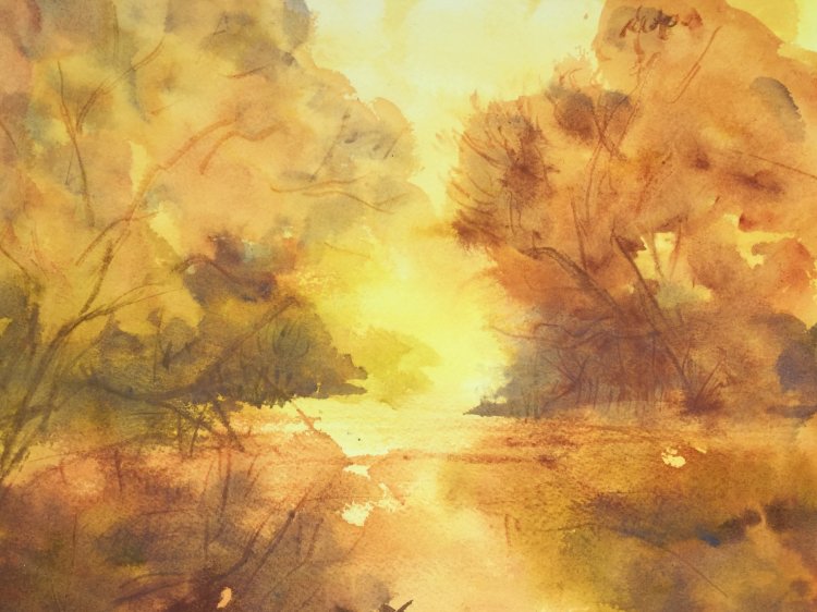 Afternoon glow
