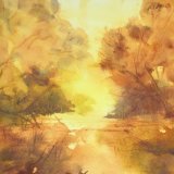 Afternoon glow