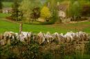 Cotswolds - 014