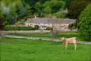 Cotswolds - 019