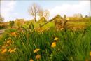 Cotswolds - 038