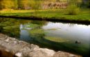 Cotswolds - 064