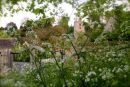 Cotswolds - 118