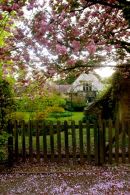 Cotswolds - 130