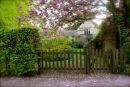Cotswolds - 133