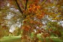 Cotswolds - 206