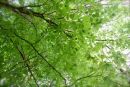 Cotswolds - 208
