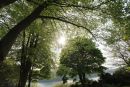 Cotswolds - 209