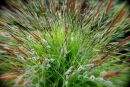 Cotswolds - 213