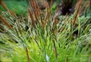 Cotswolds - 214