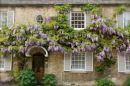 Cotswolds - 230