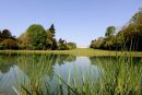 Cotswolds - 248