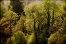 Cotswolds - 310