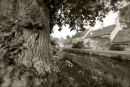 Cotswolds - 369
