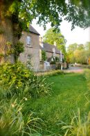 Cotswolds - 371