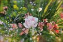 Cotswolds - 385