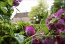 Cotswolds - 394