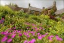 Cotswolds - 397