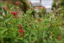 Cotswolds - 400