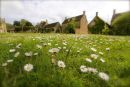 Cotswolds - 409