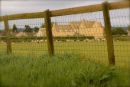 Cotswolds - 429