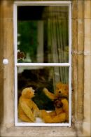 Cotswolds - 527
