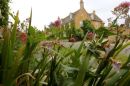 Cotswolds - 603