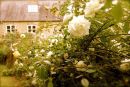 Cotswolds - 709