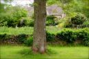 Cotswolds - 725