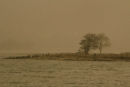 IMG 3570