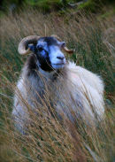 IMG 4560