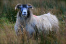 IMG 4561