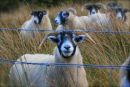 IMG 4572