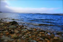 IMG 4617