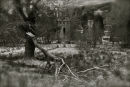 IMG 4726