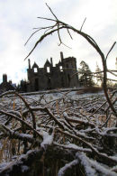 IMG 4758