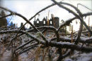 IMG 4767