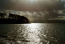 IMG 4817