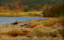 IMG 4819