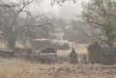 Mali 19