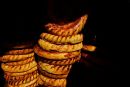 IMG 6480