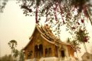 Laos38