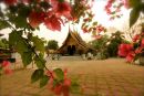 Laos49