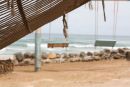 Casamance 60
